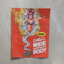 1979 rare GENIE Gottlieb