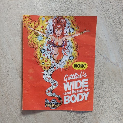 1979 rare genie gottlieb - rare,