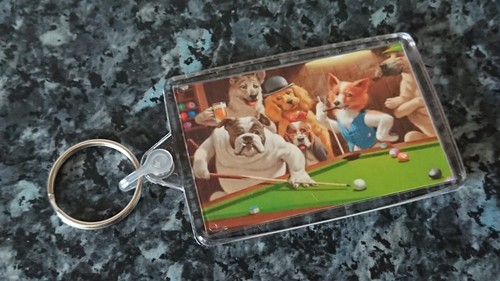 Dogs playing pool - playing,