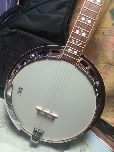 Banjo string tonewood used - string,