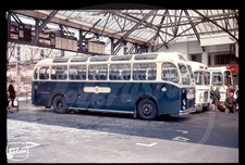 Copy Coach Slide - Royal Blue