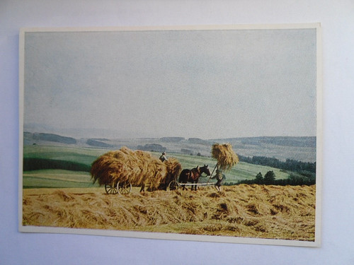 Postcard harvest the - harvest, in