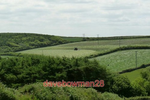 Photo hay making a - hay, field