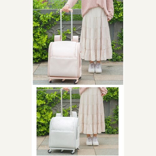 Pet travel bag - travel,