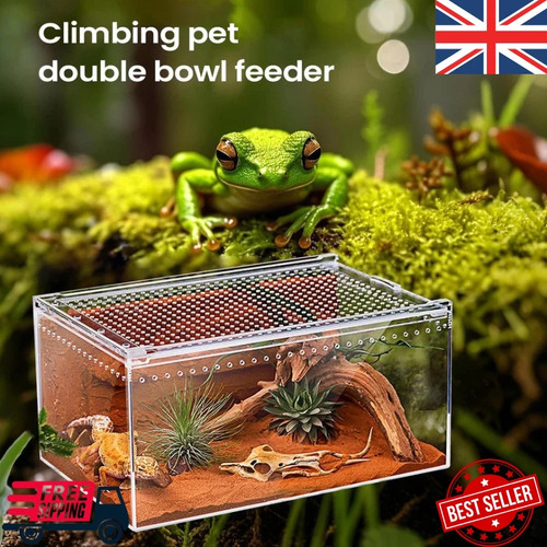 Clear acrylic spider terrarium - clear,