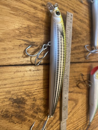 Zuri hydro minnow 150f - minnow, lc