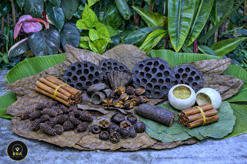 Large botanical enrichment box - large,