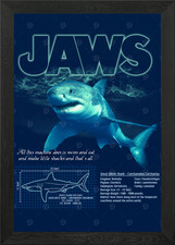 Great White Shark Framed Wall