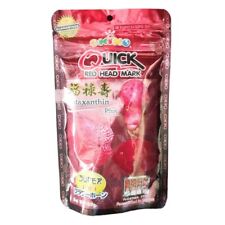 Okiko Cichlid Flowerhorn Fish