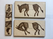 Tricky Donkey Saddle the Horse