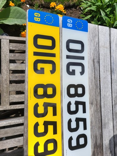 Dateless registration oig - dateless,