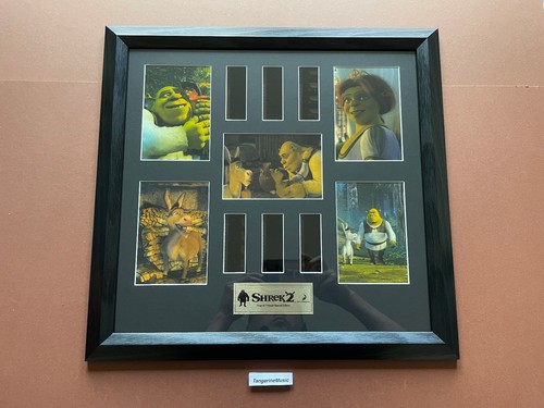 Shrek hand crafted display - shrek,