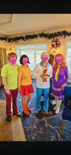 Fancy dress costume - fancy, job