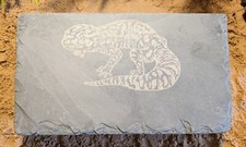 Large Personalised Laser