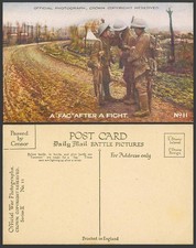 WW1 Daily Mail Old Postcard A