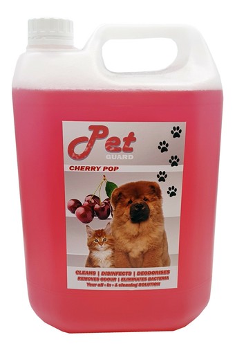 Pet cattery kennel - cattery,