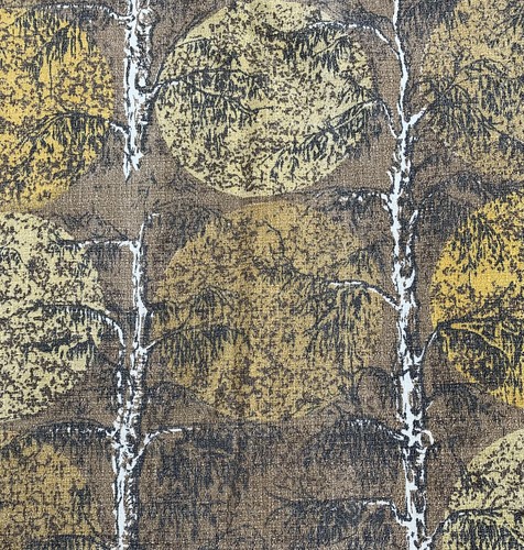 Midcentury silver birch tree - birch,
