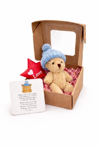 Pocket bear worry - pocket,