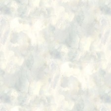 Timeless Treasures - Forest