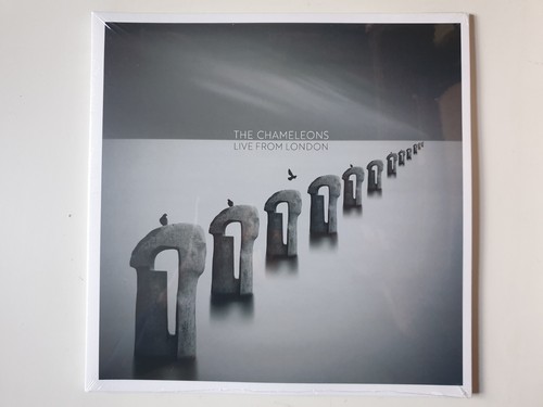 The chameleons live - chameleons, from