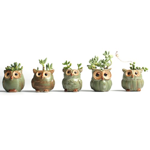 Ceramic mini owl - ceramic,