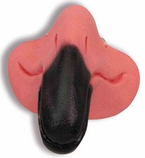 Flamingo Nose Pink Tropical