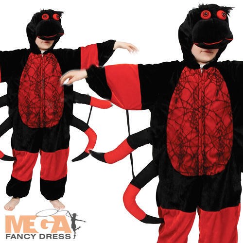 Spider kids insect animal - spider,