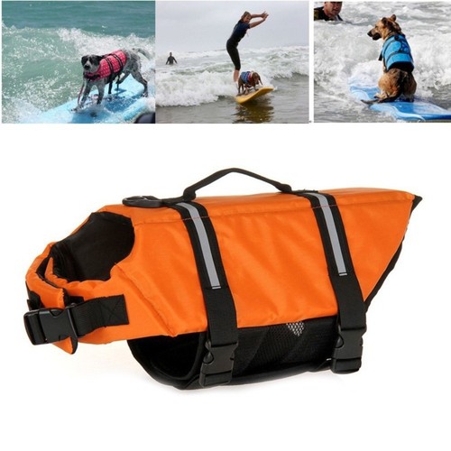Dog life jacket pet - dog,