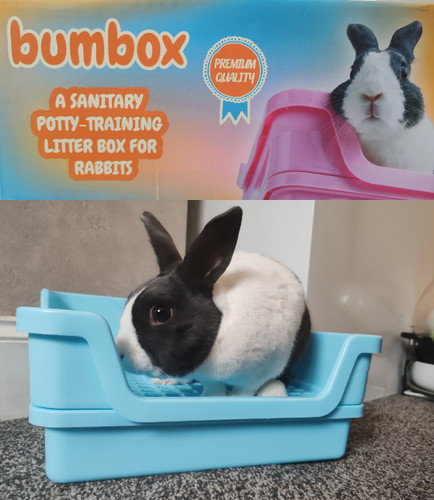 Luxury large rabbit litter - luxury,