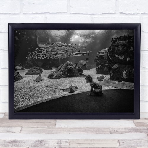 Aquarium black white manta - &,