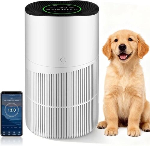 Air purifiers for large home - for,