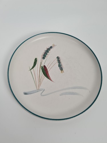 Denby greenwheat dinner plate - denby,