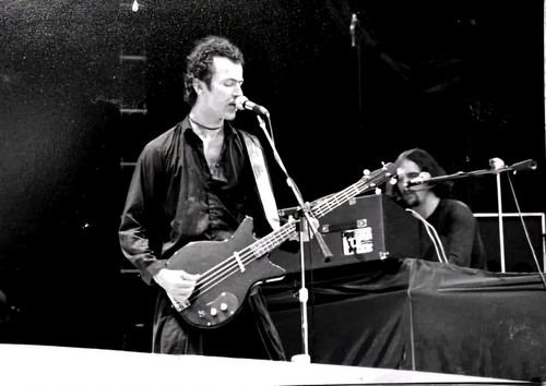 Punk rock the - rock,