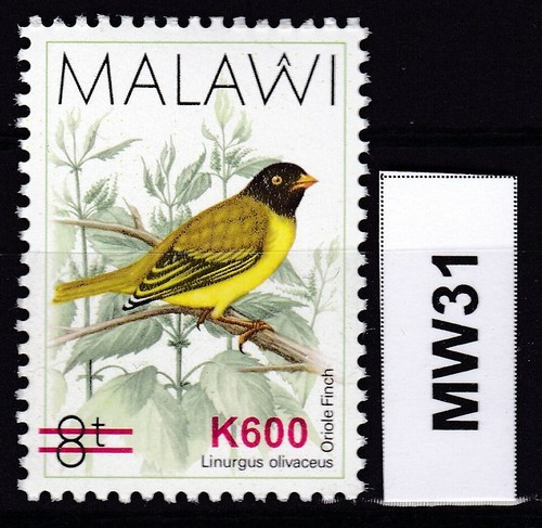 Malawi 2018 birds - malawi,