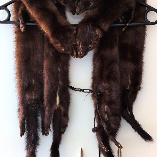 Real mink fur stole - mink,