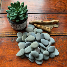 50 medium sized beach pebbles