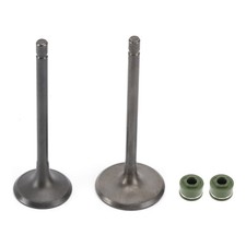 Head intake exhaust valves - head,
