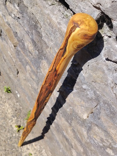 Sweet chestnut shillelagh - sweet,