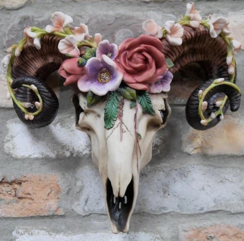 Flower ram skull - skull, mount