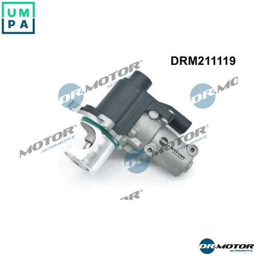 Egr valve drm211119 - egr, vw