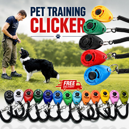 Dog training clicker pet - dog,