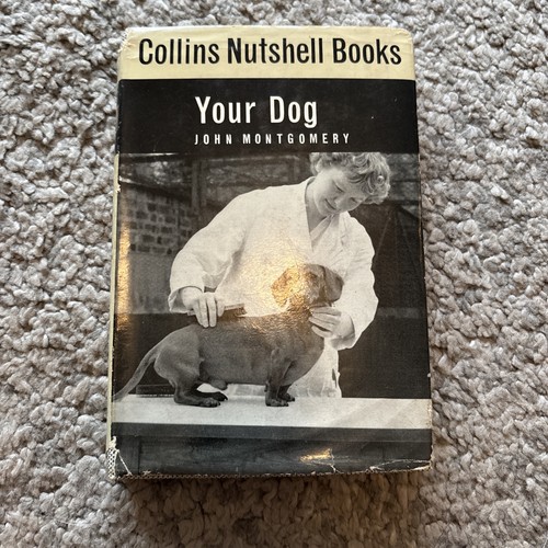 Collins nutshell books your - nutshell,