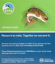 RSPB Pin Badge Brown Trout NIIC P03050