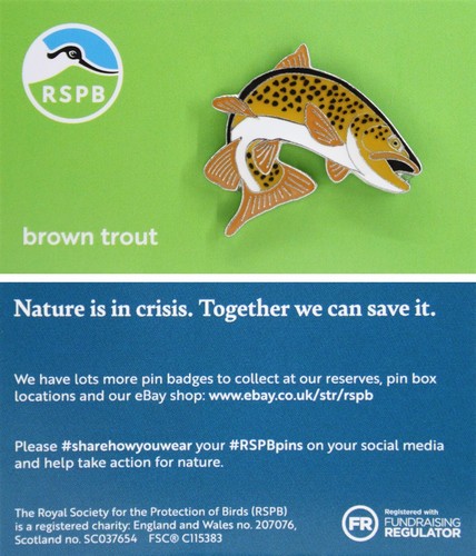 Rspb pin badge - rspb, niic