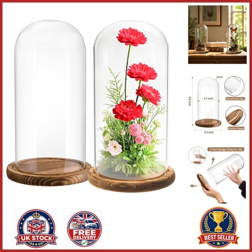 Clear glass cloche - glass, display