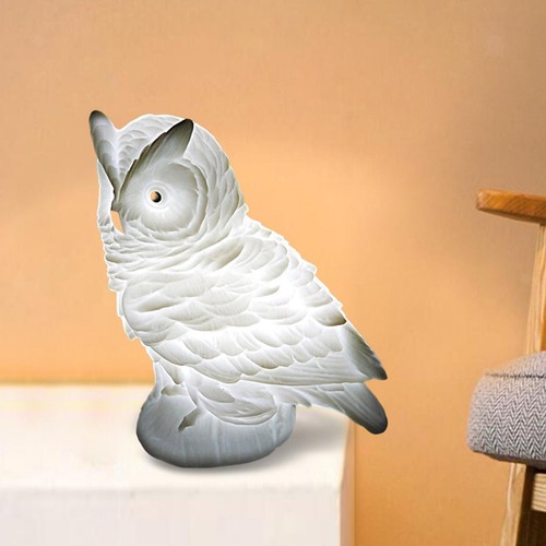 Night light shell owl - night,