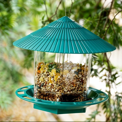 Bird table garden - bird, birdhouse