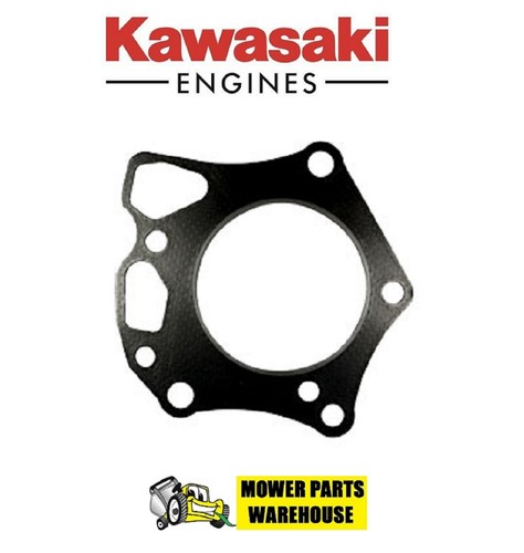 Genuine oem kawasaki - oem,