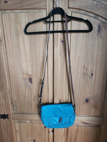 Vintage fossil teal pebbled - fossil,