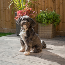 Bradstone Madera Antiqua